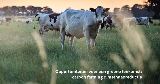 Factbook 2022 - Carbon farming & methaanreductie